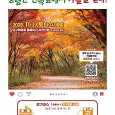 황령산 편백숲에서 가을을 걷다